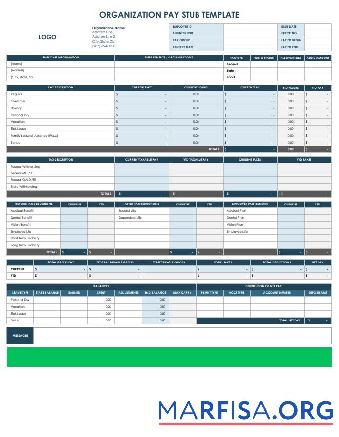 Realistic Organization Pay Stub real example